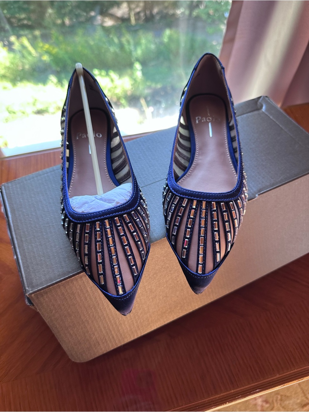 Paolo Navy Embellished Pointed Toe Flats